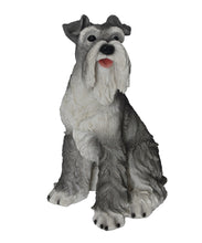 Load image into Gallery viewer, DOG-SCHNAUZER SITTING
