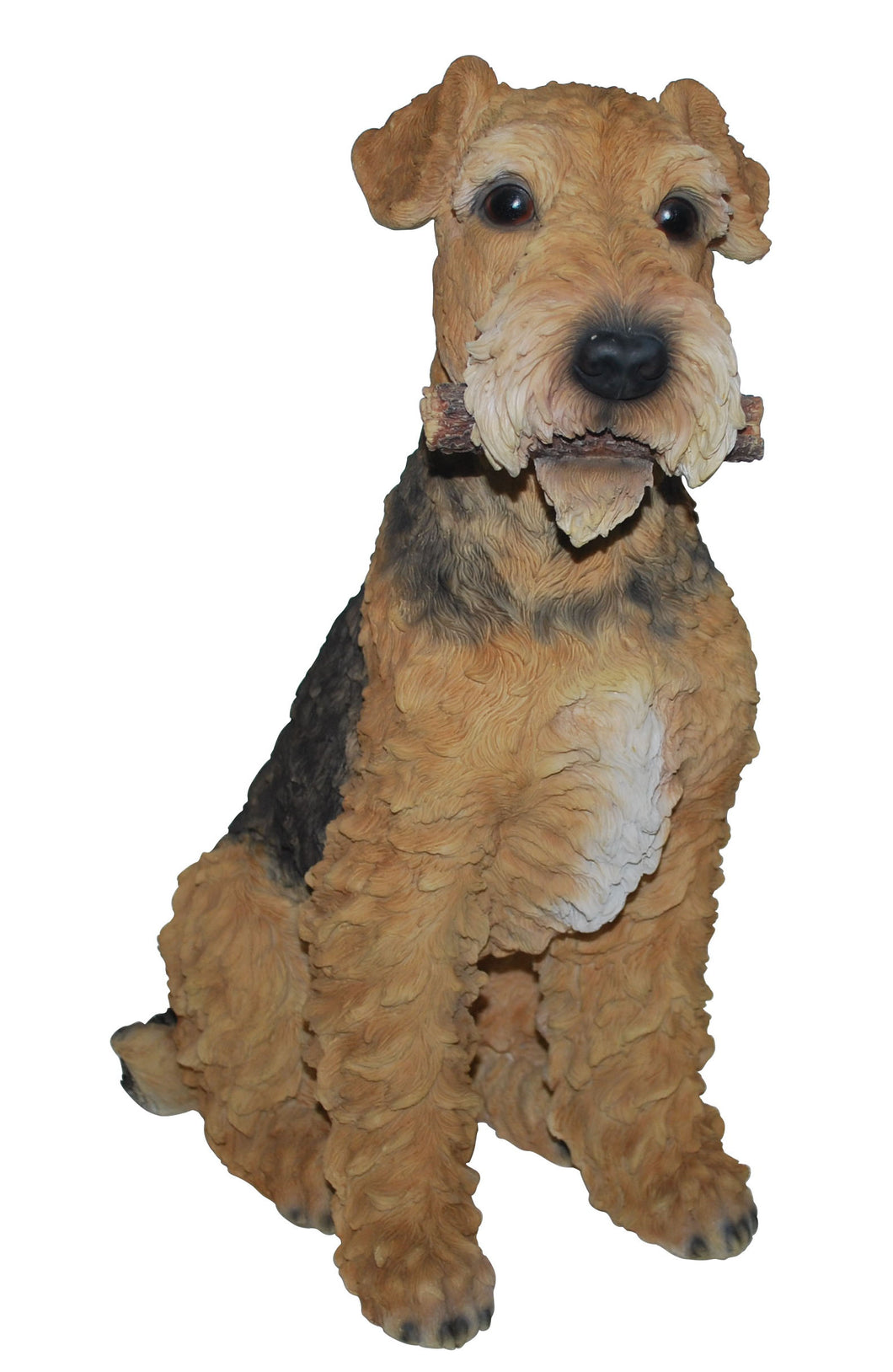 DOG-AIREDALE TERRIER