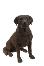 Load image into Gallery viewer, DOG-LABRADOR RETRIEVER SITTING - BROWN
