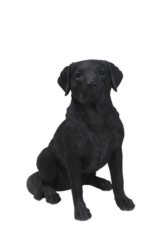 DOG-BLACK LAB XL