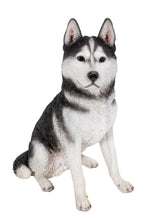 Load image into Gallery viewer, DOG-SIBERIAN HUSKY SITTING-GREY/WHITE
