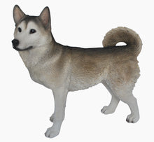 Load image into Gallery viewer, DOG-SIBERIAN HUSKY
